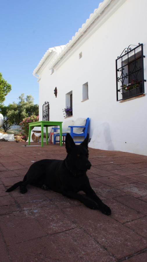 Casa Del Cielo Apartman Frigiliana Kültér fotó